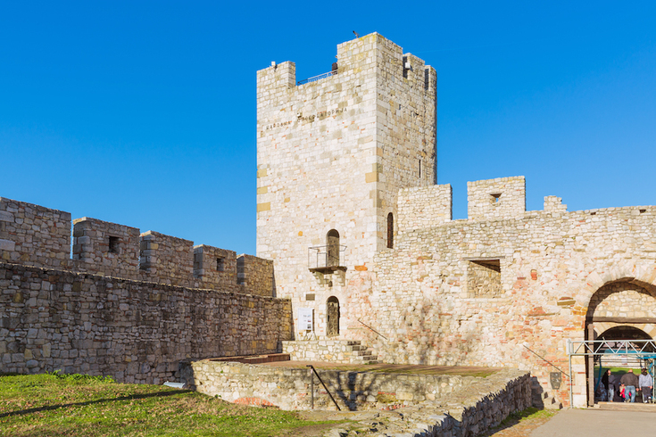 Sećanje na Milu Vujičić-Vulović  - Pionirka konzervatorskog poziva